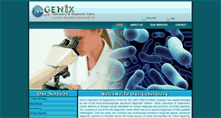 Desktop Screenshot of genixdiag.net